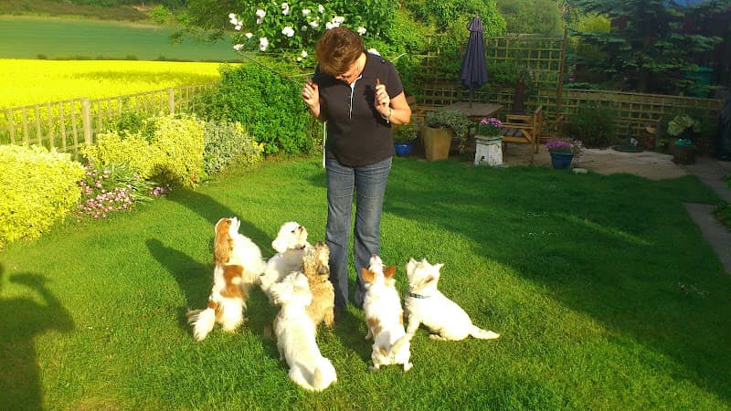 Business listing image