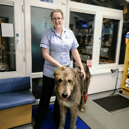 Business listing image