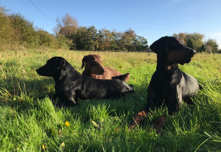 Business listing image