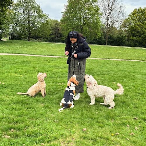 Business listing image