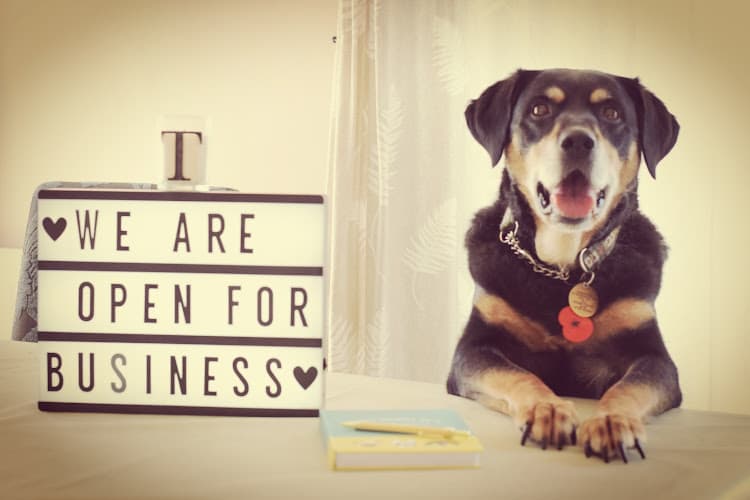 Business listing image