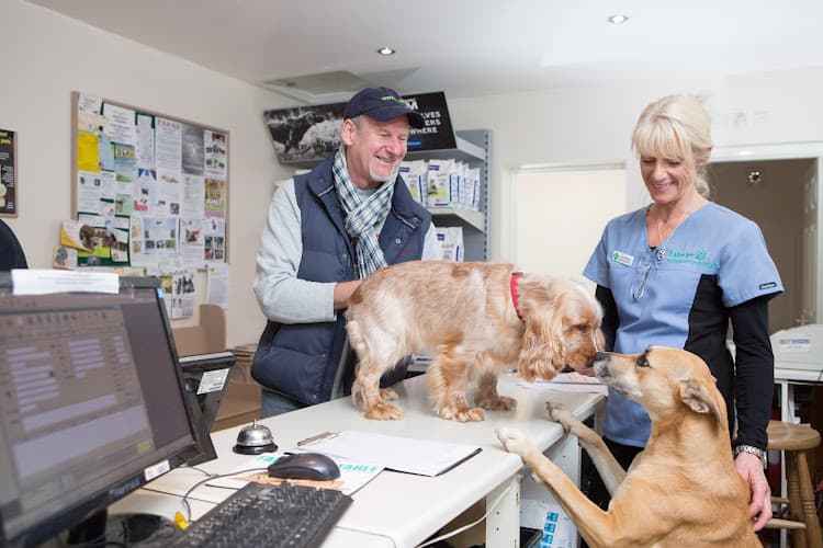 Business listing image