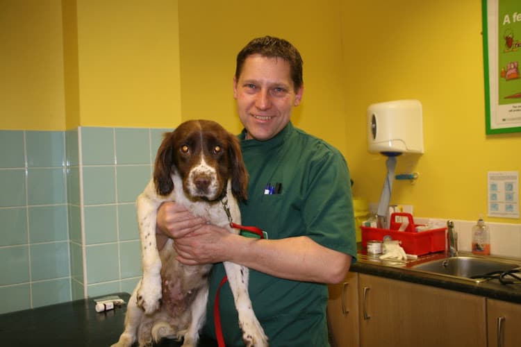 Business listing image