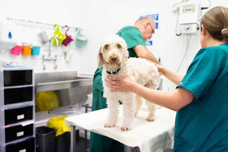 Business listing image