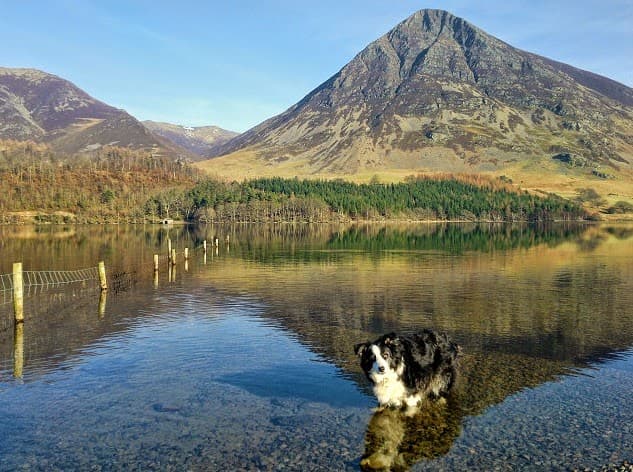 Business listing image