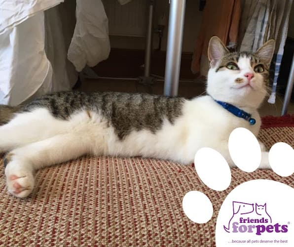 Business listing image