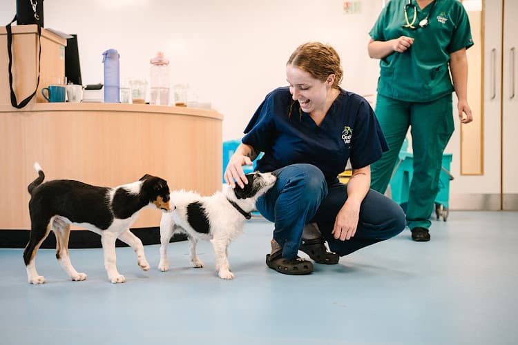 Business listing image