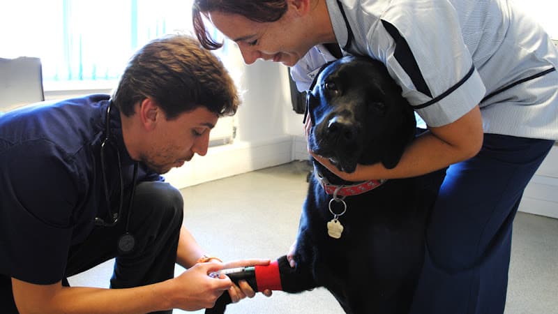 Business listing image