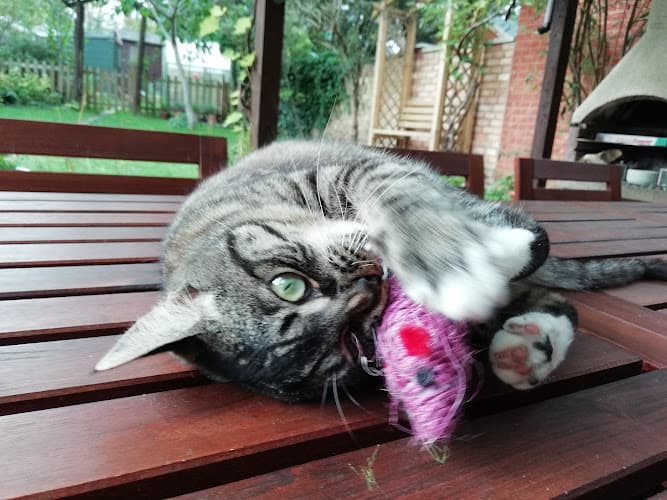 Business listing image