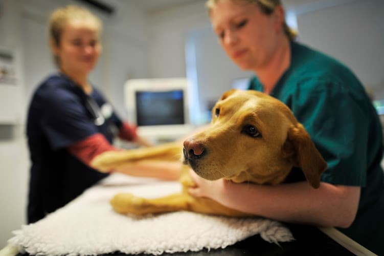 Business listing image