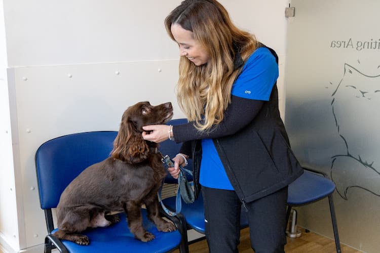 Business listing image