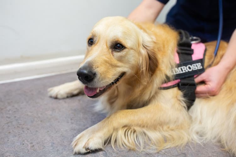 Business listing image