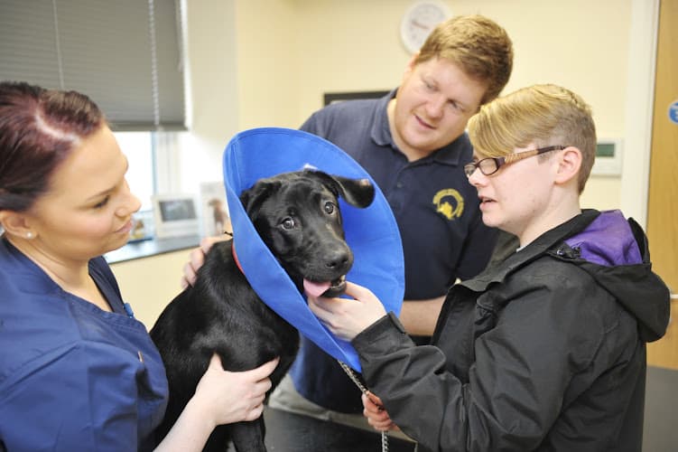 Business listing image