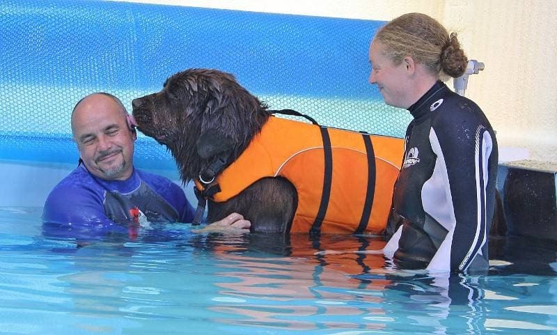 Business listing image