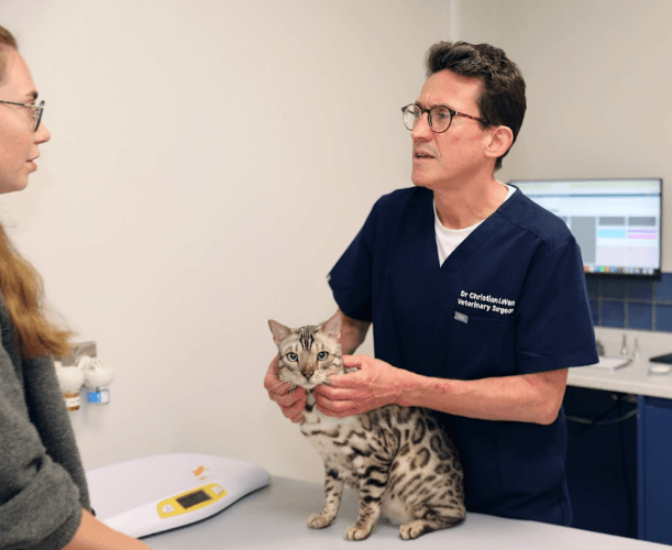 Business listing image