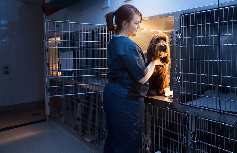 Business listing image