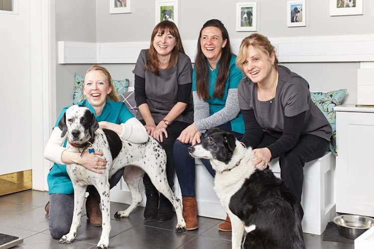 Business listing image