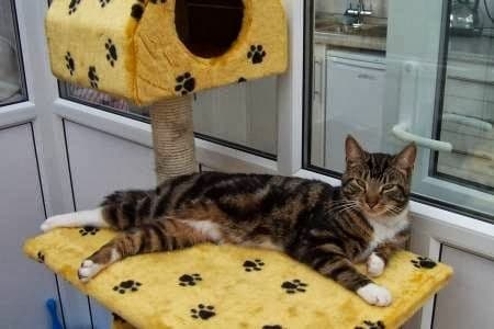 Business listing image