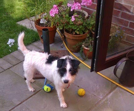 Business listing image