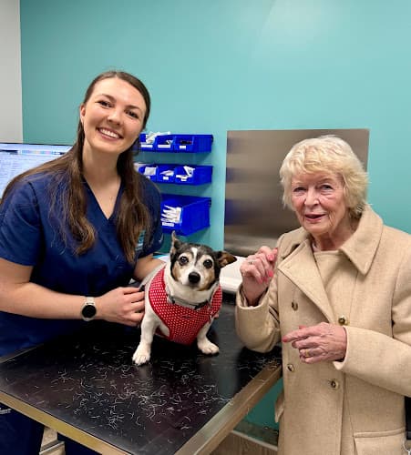 Business listing image