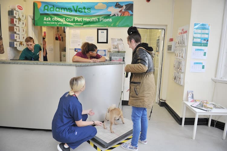 Business listing image