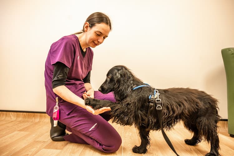 Business listing image