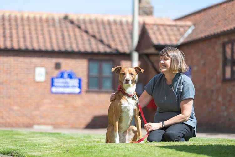 Business listing image