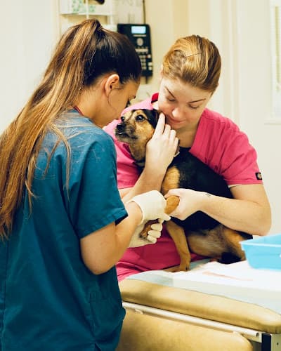 Business listing image