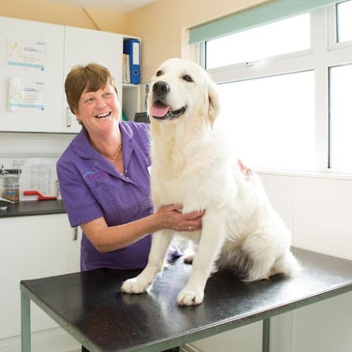 Business listing image