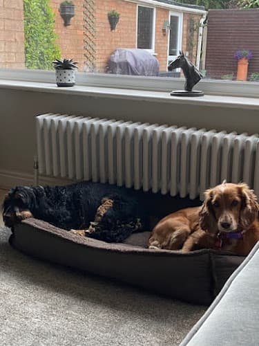 Business listing image