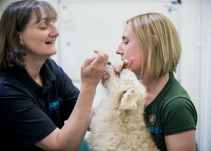 Business listing image