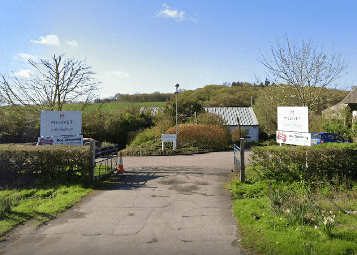 Business listing image