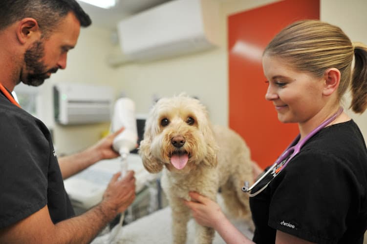 Business listing image