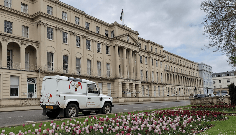 Business listing image