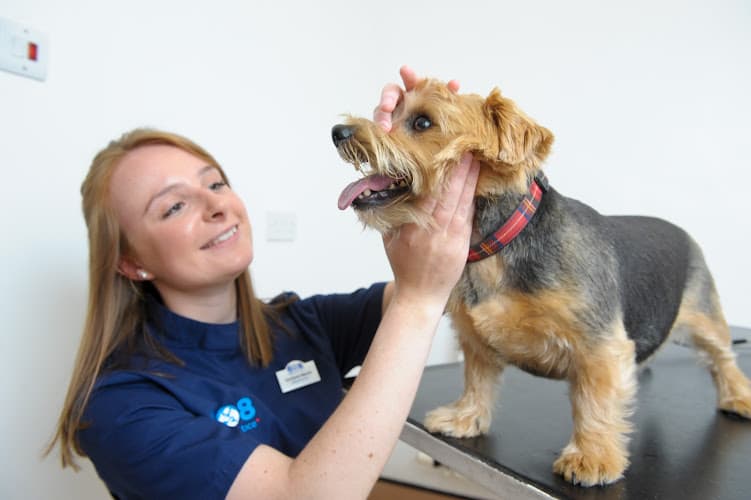 Business listing image