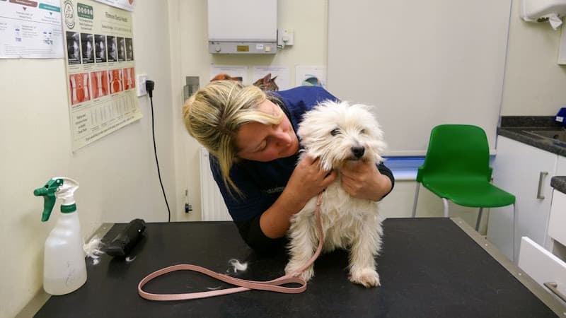 Business listing image