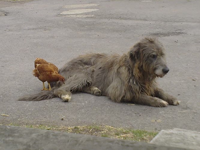 Business listing image