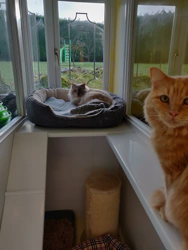 Business listing image