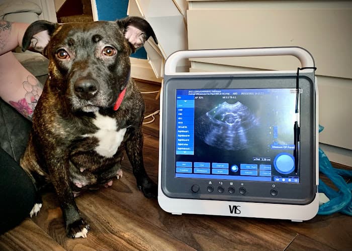 Business listing image