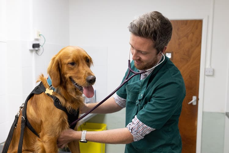 Business listing image