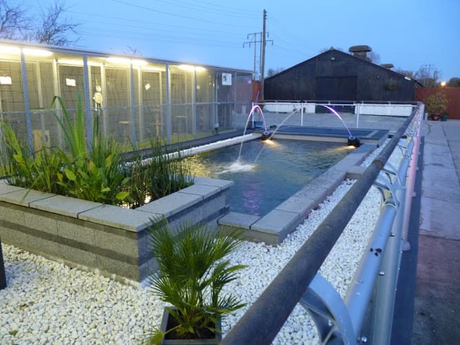 Business listing image