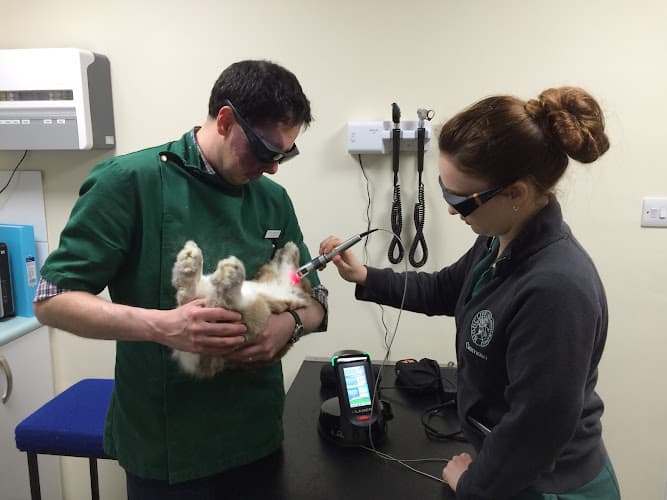 Business listing image