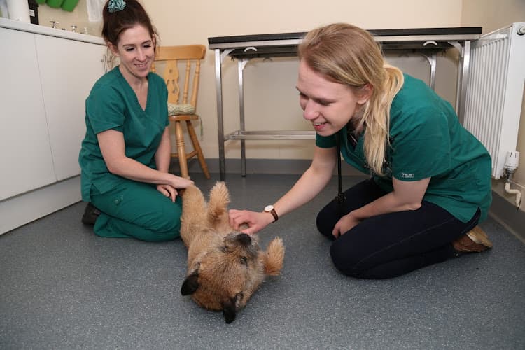 Business listing image