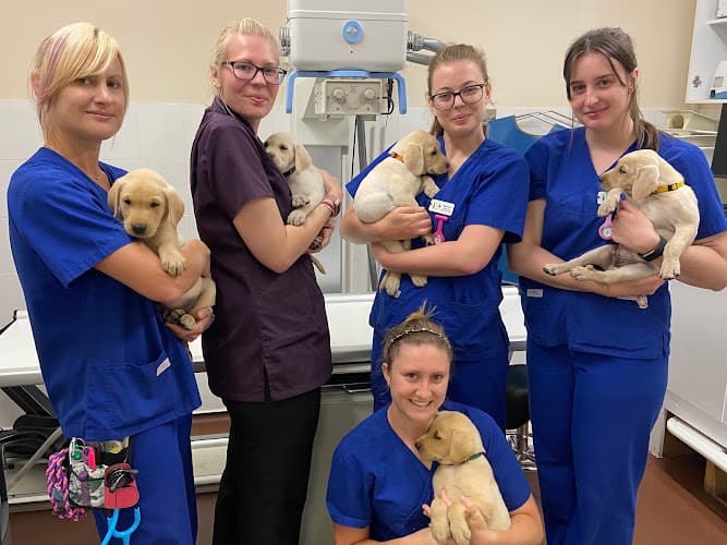 Business listing image