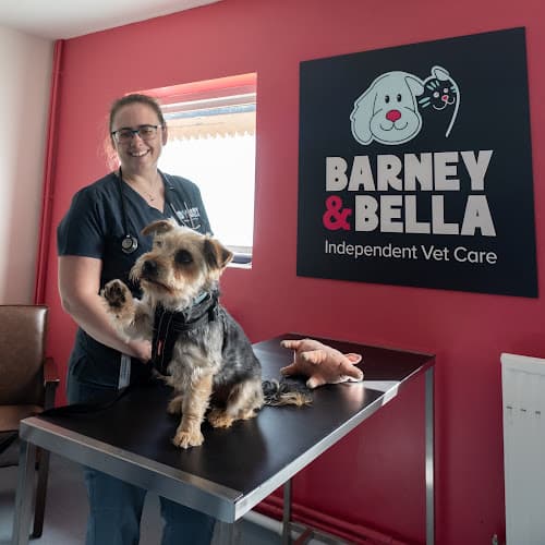 Business listing image