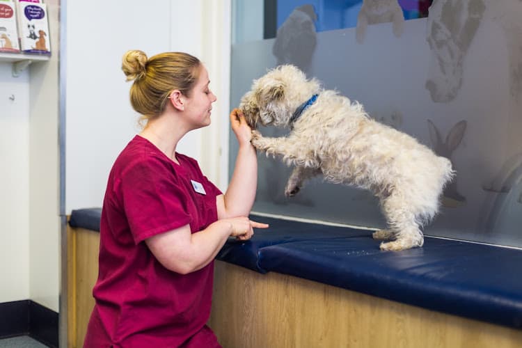 Business listing image