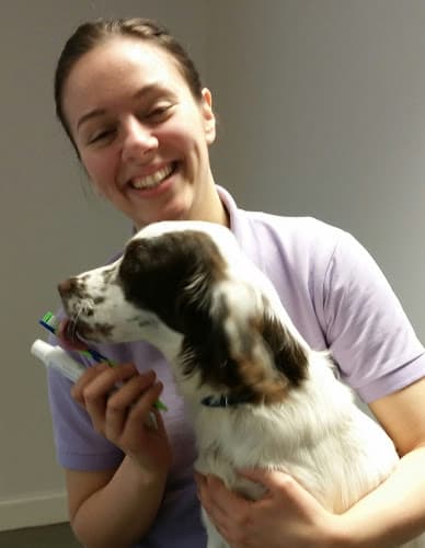 Business listing image