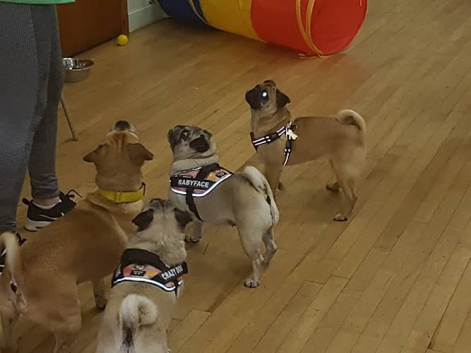 Business listing image