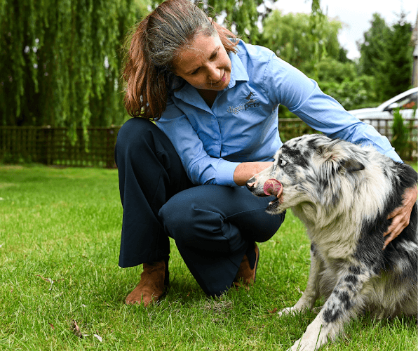 Business listing image