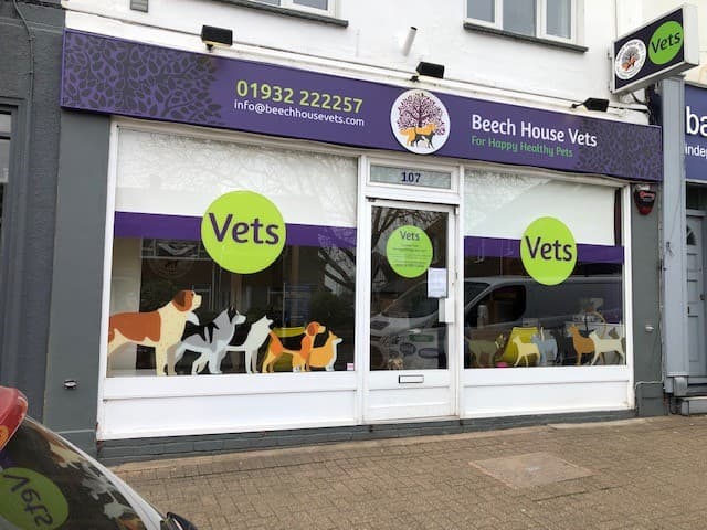 Business listing image